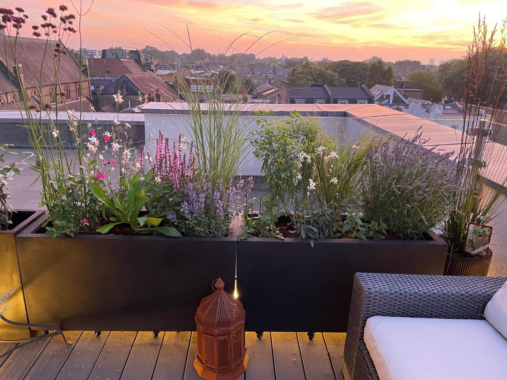 Mid-century Modern Flat With Panoramic Views Apartment London