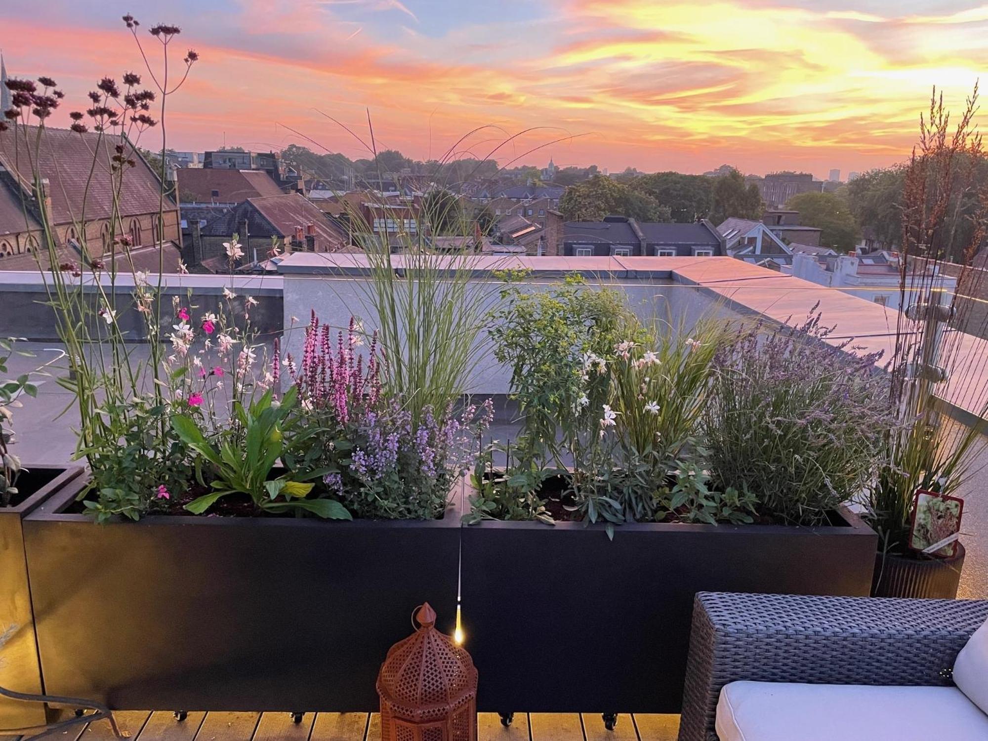Apartment Mid-century Modern Flat With Panoramic Views London